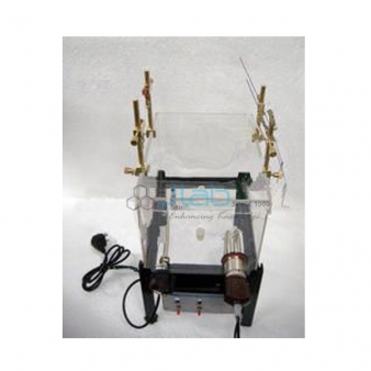 Apparatus For Isolated Uterus Intestine