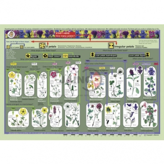 Classification Equipments