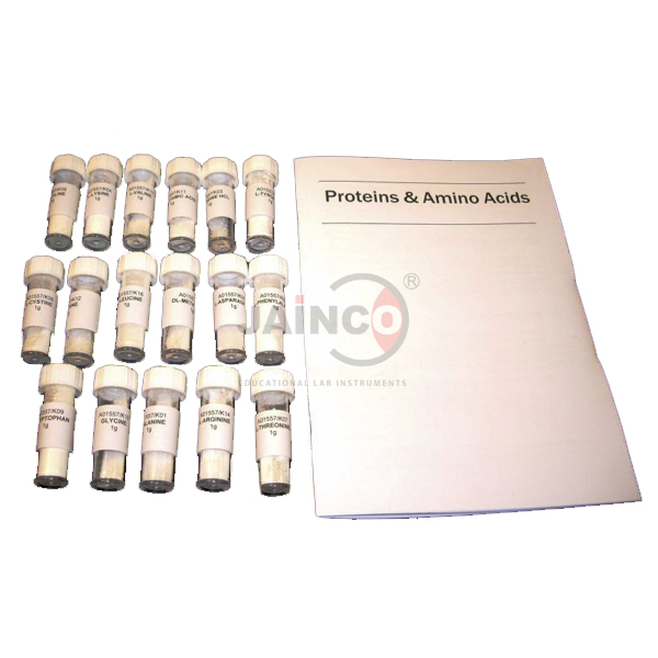 Amino Acids Set