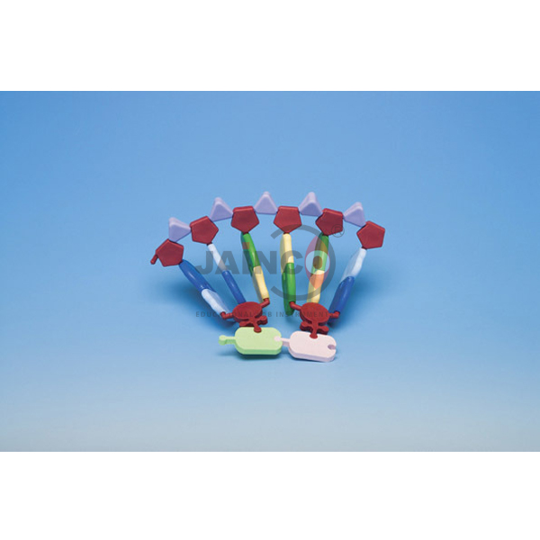 RNA 24 base Protein Synthesis