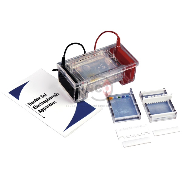 Double Gel Electrophoresis Apparatus