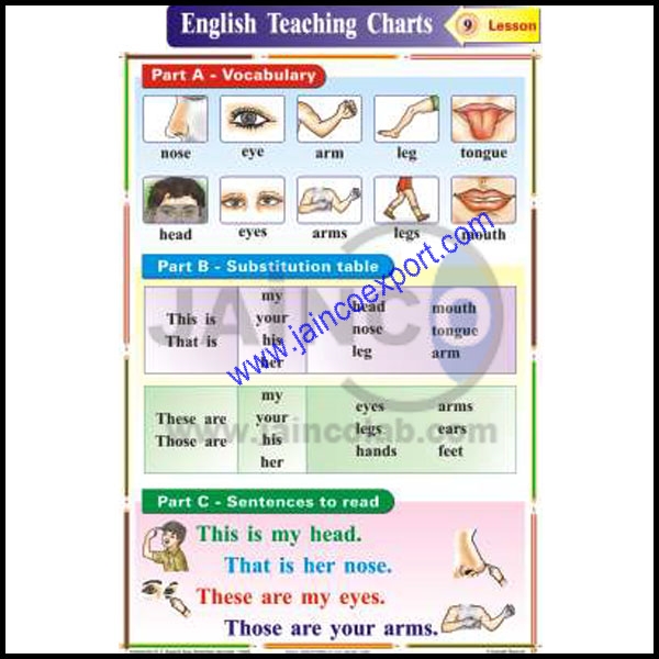 Parts of Body Chart