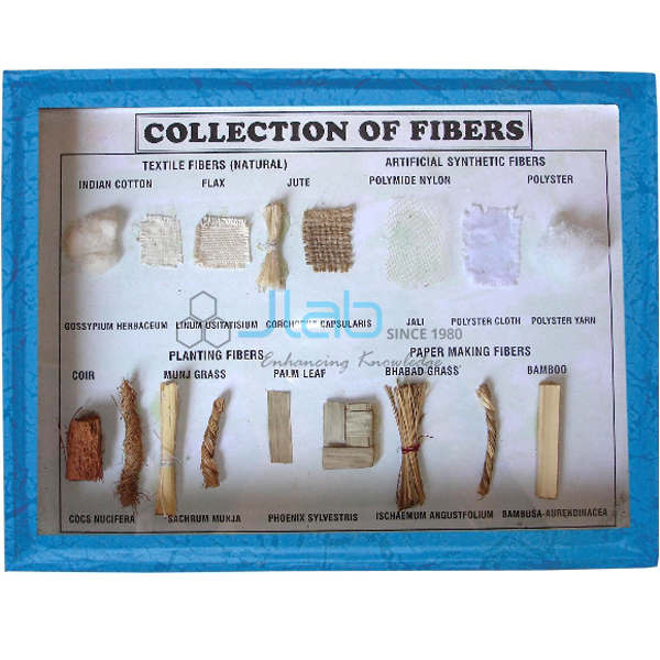 Collection of Fibres