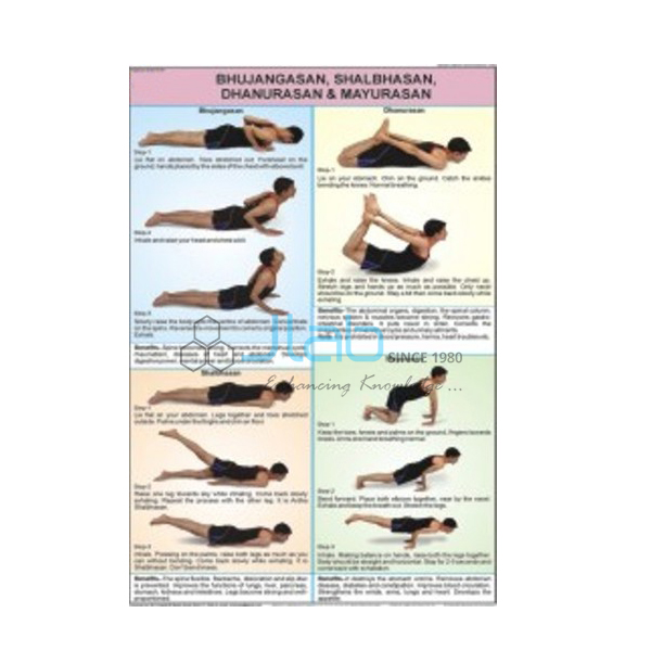 Bhujangasan, Shalbhasan, Dhanurasan and Mayurasan Chart