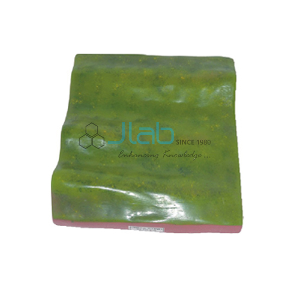 Undulating Slopes Model