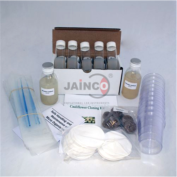 Cauliflower Cloning Kit