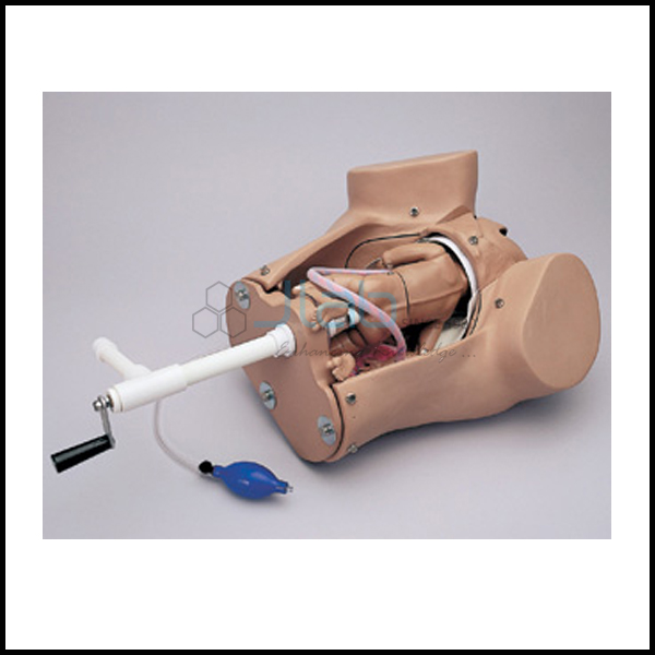 Delivery Leopold Maneuvers Simulated Model