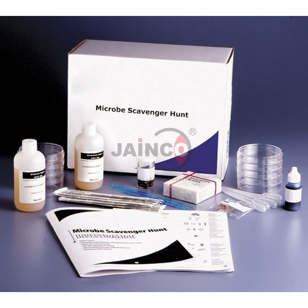 Microbe Scavenger Hunt