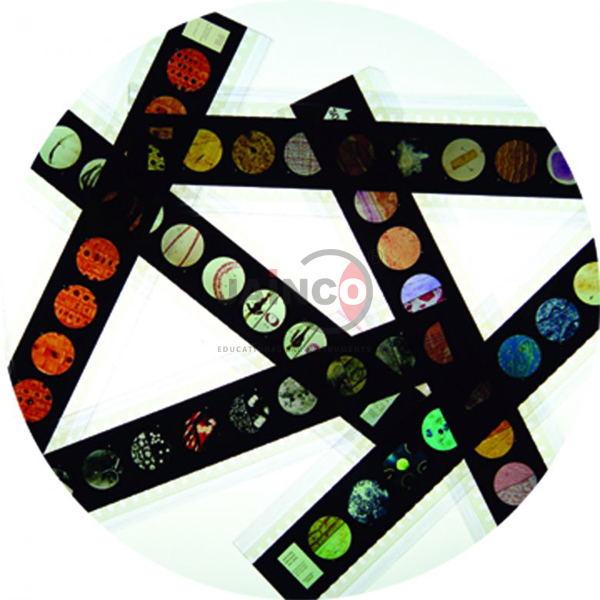 Microslide Aids