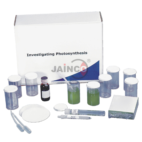 Investigating Photosynthesis