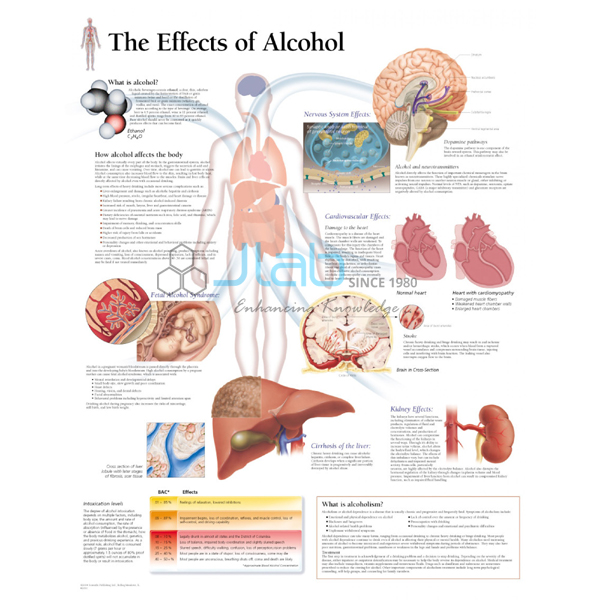 Effects of Alcohol Chart