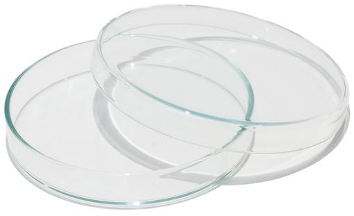 Dish, Petri