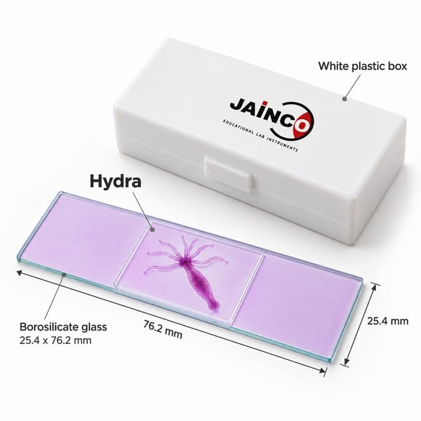Hydra