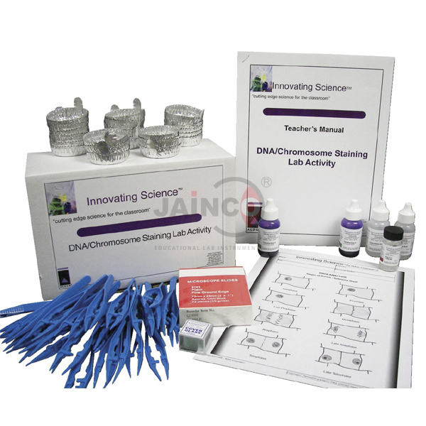 DNA/Chromosome Staining Lab Activity