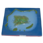 Island and Lagoon Model