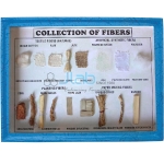 Collection of Fibres