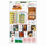Apiculture