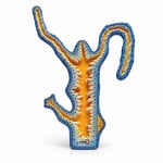 Hydra