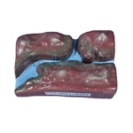 Gorge and A Mountain Model