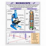 Microscope